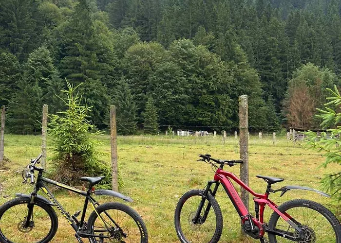 Frame&forest Tatil Evi Kolochava